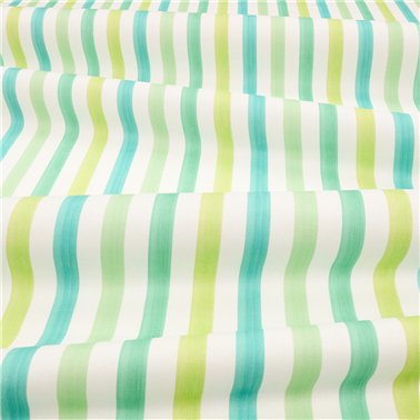 Candy Cane Rainforest V361801
