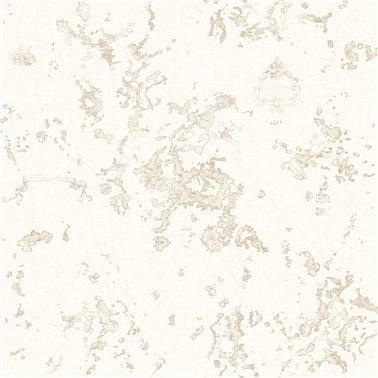 RIVG83981211