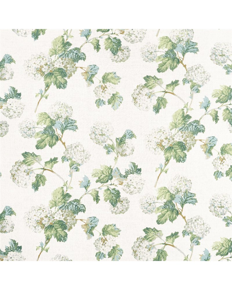 Sussex Hydrangea White and Green AF57849 Sussex Hydrangea White and Green AF57849