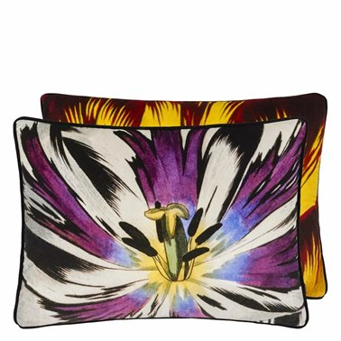 ECLOSION AGATE CCCL0659