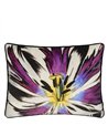 ECLOSION AGATE CCCL0659