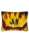 ECLOSION AGATE CCCL0659
