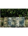 Field Maple Sapphire TFIEZAP
