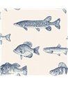 Trout Icy tops CL71402
