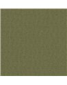 Thomas Fern CL70904