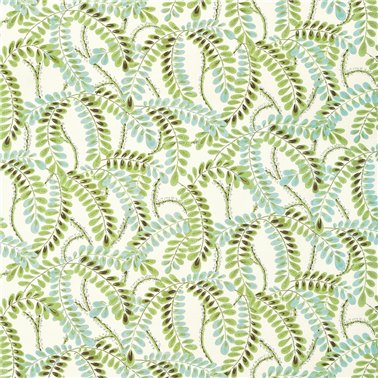 Augusta Sage F945039