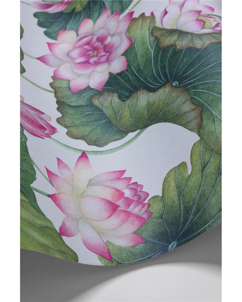 Lily Lotus Pink & White 126-9031