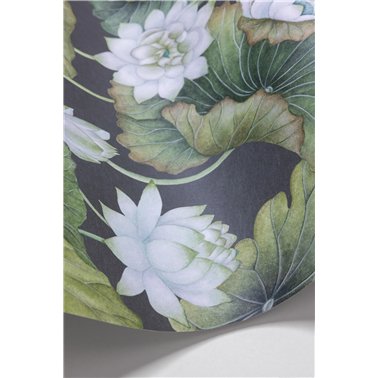 Lity Lotus White On...