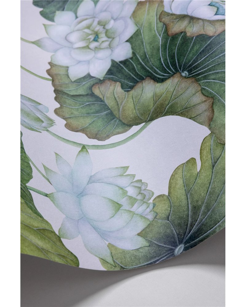 Lity Lotus White On Cream 126-9034