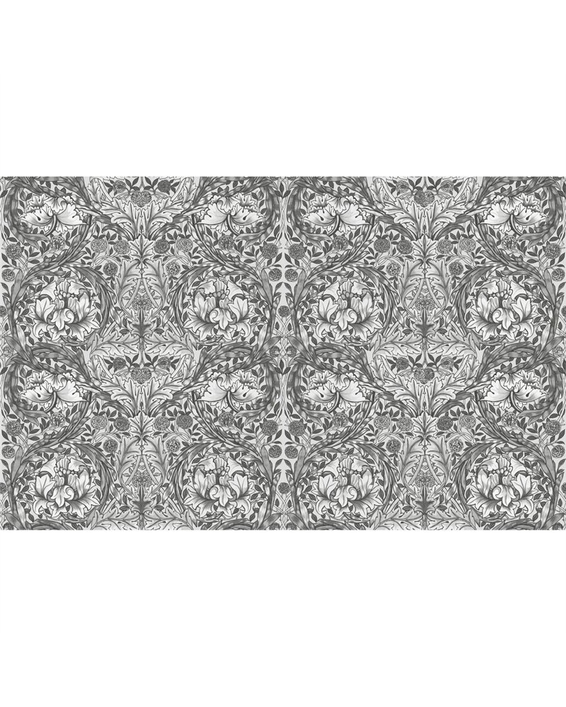 African Marigold Grey Bespoke Mural 125427 African Marigold Grey Bespoke Mural 125427