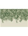 Willow Bough Greens Bespoke Mural 125364