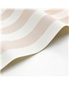 Baltic Rayure Beige Blanc 29251116