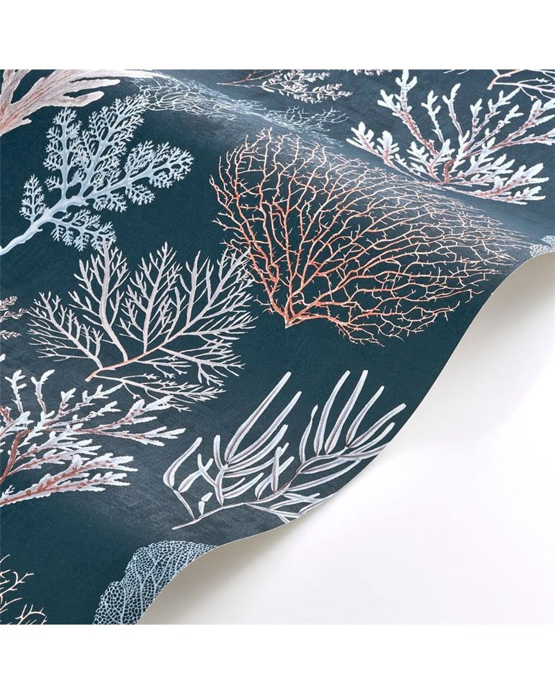 Corail Bleu Ocean 83976776