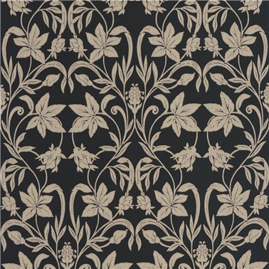 Primrose Noir Fusain 201239371