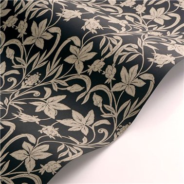Primrose Noir Fusain 201239371