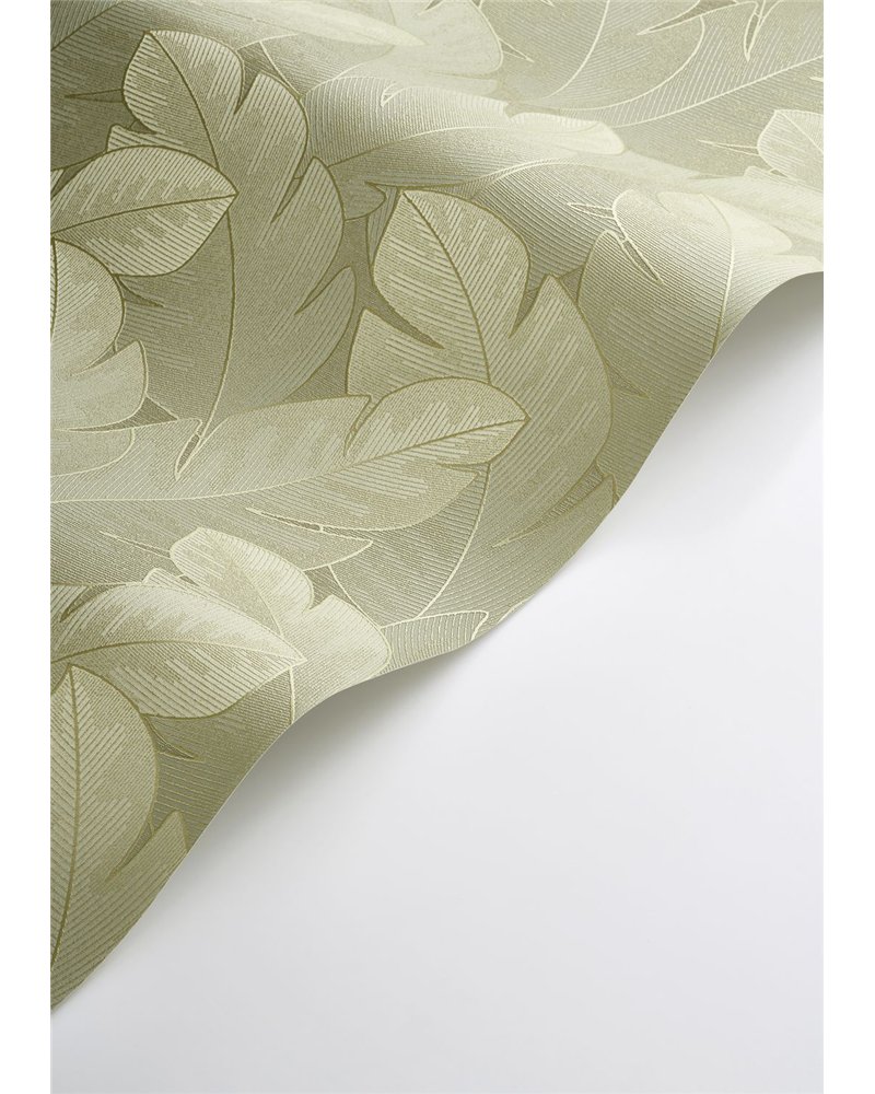 Yuto Vert Eucalyptus 201297447