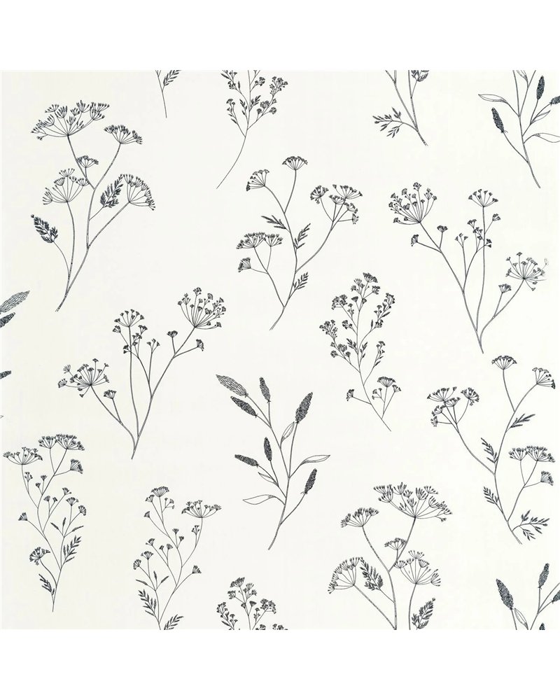 Little Graminea Noir Blanc 106680928 Little Graminea Noir Blanc 106680928