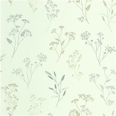 Little Graminea Vert D'Eau 106687158