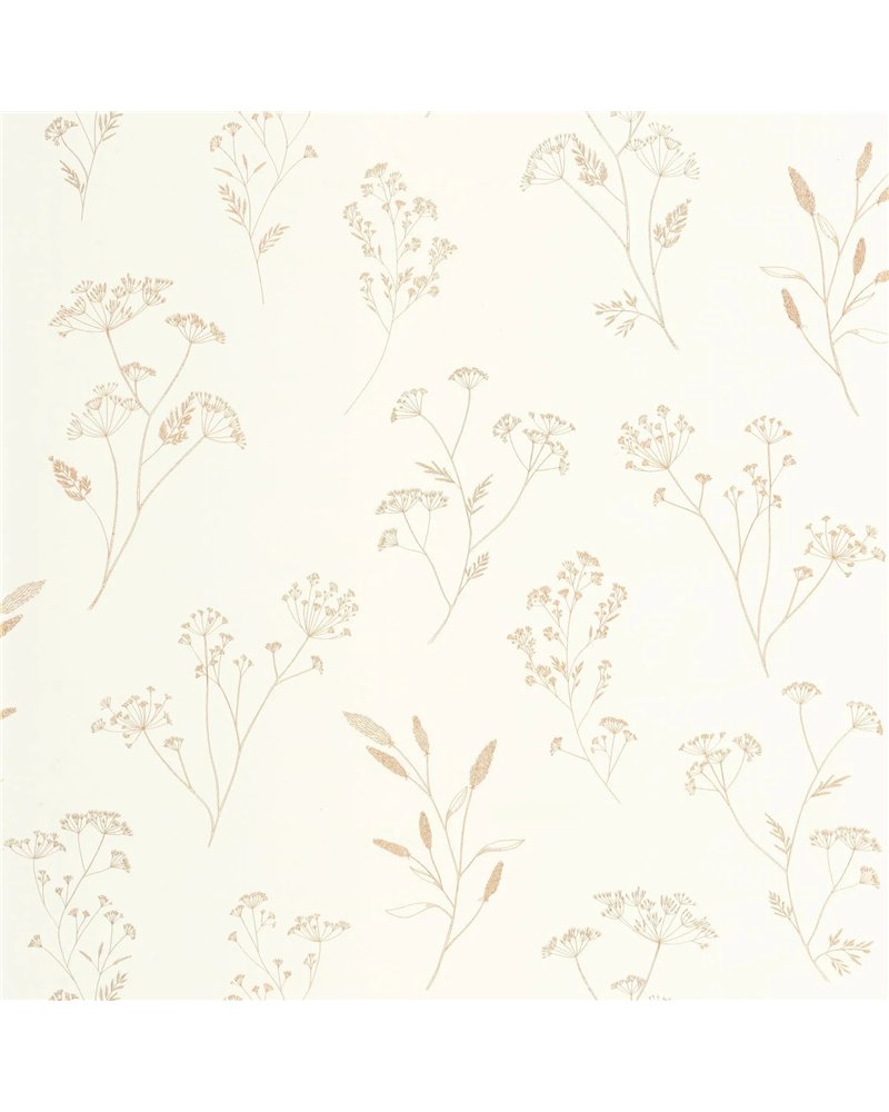 Little Graminea Or Blanc 106680234 Little Graminea Or Blanc 106680234
