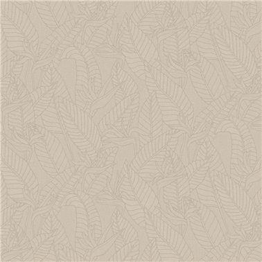 Strelitzia  Zinc  60750