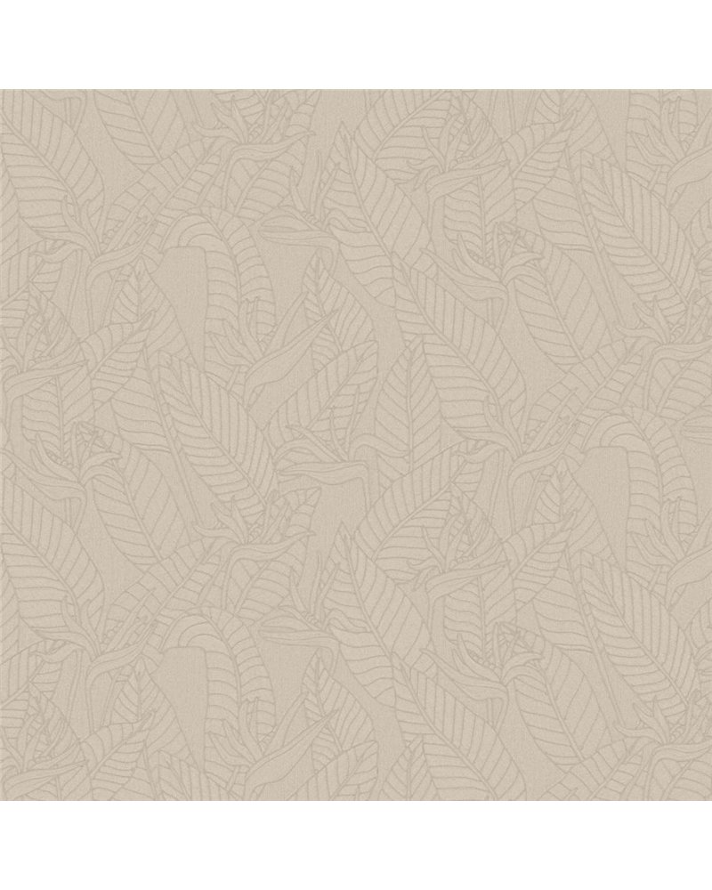Strelitzia Zinc 60750 Strelitzia Zinc 60750