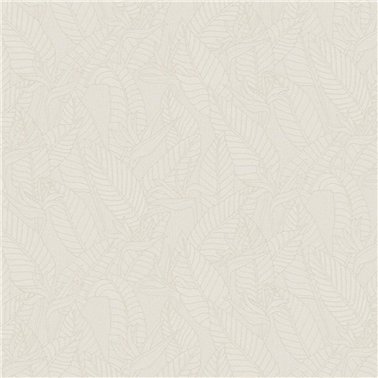 Strelitzia Alabaster 60741