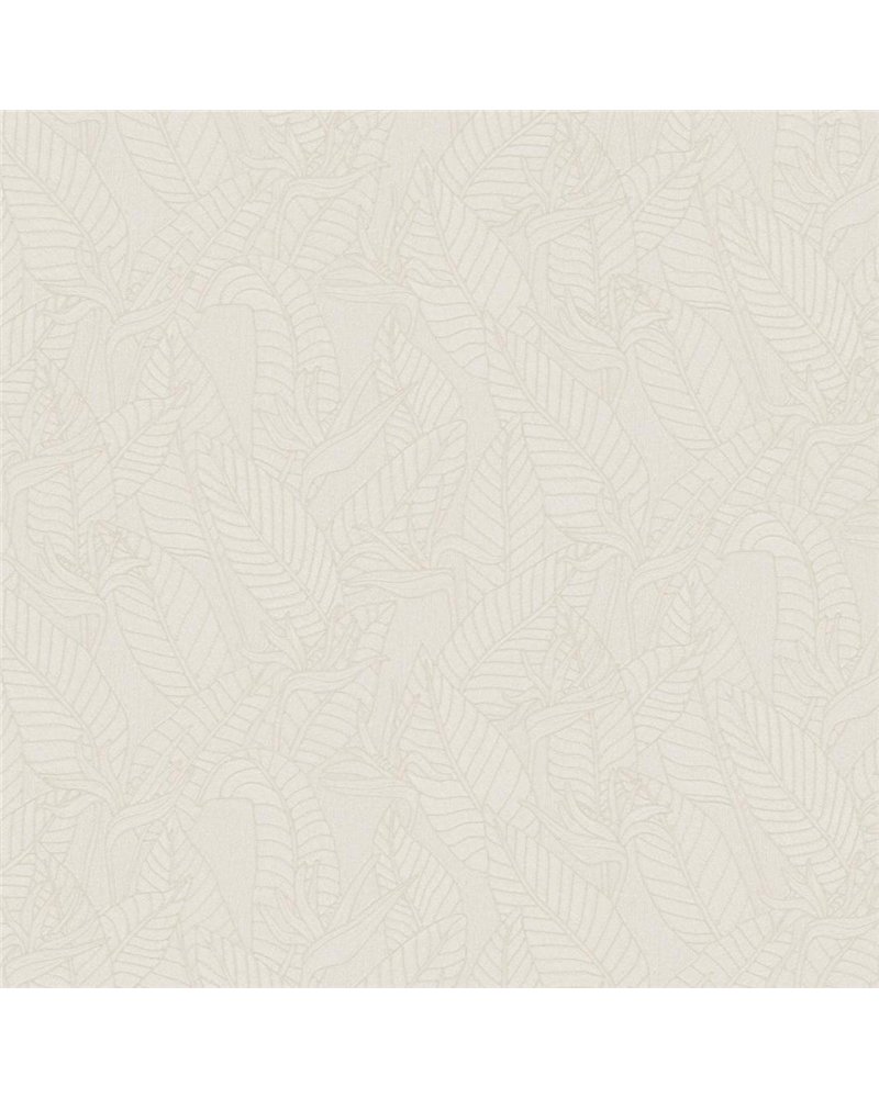 Strelitzia Alabaster 60741 Strelitzia Alabaster 60741