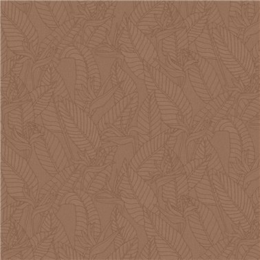 Strelitzia Bark 60749