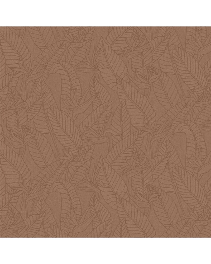 Strelitzia Bark 60749 Strelitzia Bark 60749