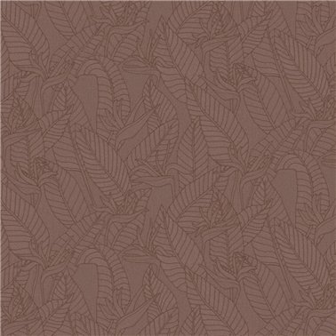 Strelitzia Hickory 60743