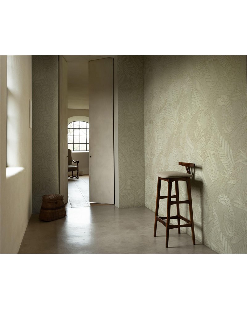 Strelitzia Olive 60740