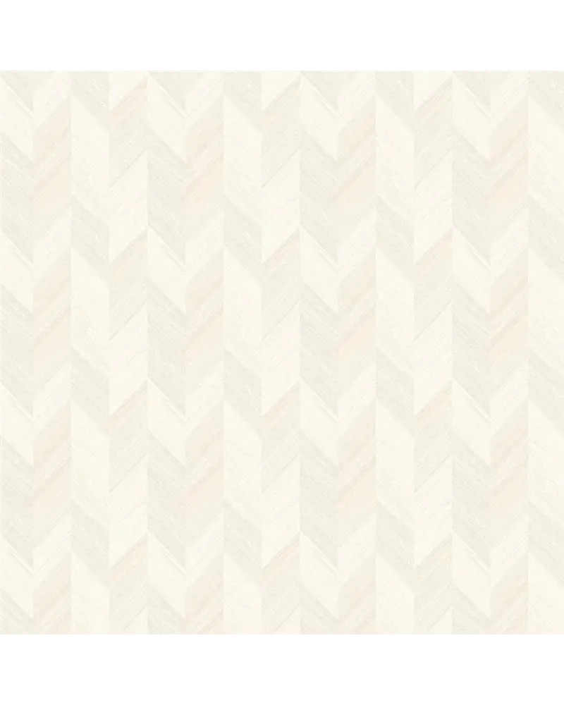 Chelva Cashew VA02311 Chelva Cashew VA02311