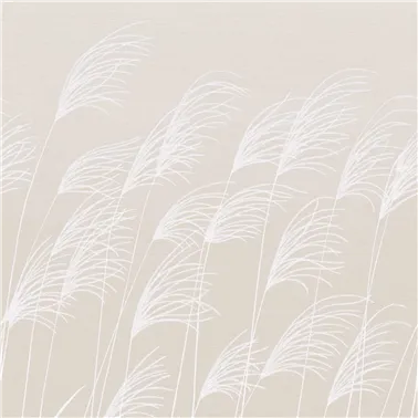 Miscanthus Parchment Frost HKAW113231