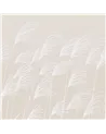 Miscanthus Parchment Frost HKAW113231