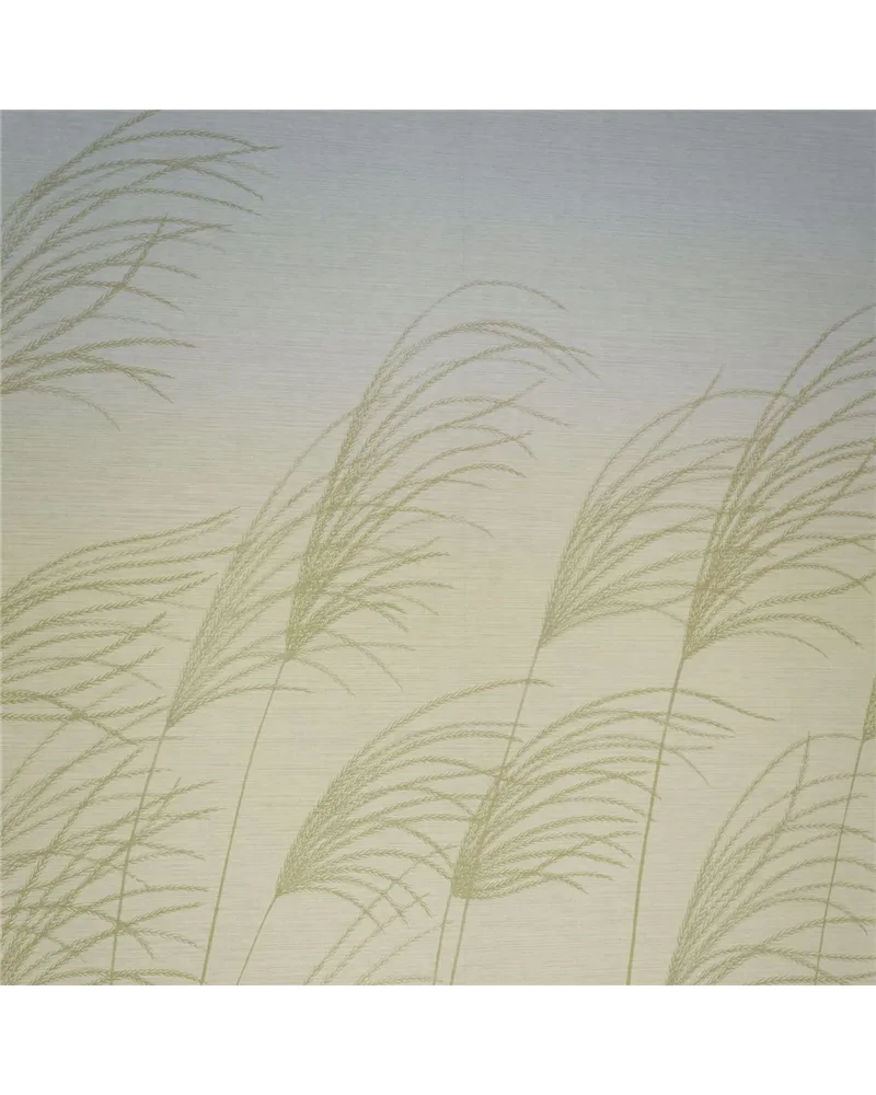 Miscanthus Buttermilk Sky HKAW113230