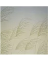 Miscanthus Buttermilk Sky HKAW113230