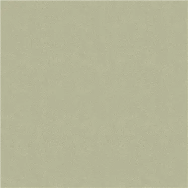 COLOUR-CHOICE 10561.31