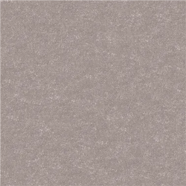 CORONA 2618.19