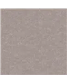CORONA 2618.19