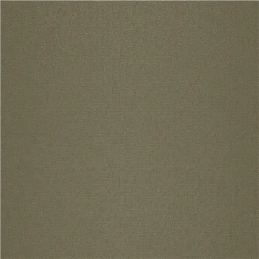 STRIE 2550.01