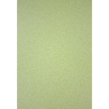 Papel Pintado CORTECCIA W6190-14 - OSBORNE and LITTLE