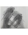 Macula WET_MA2401