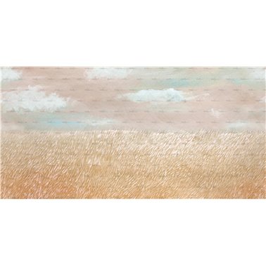 Il colore del Grano WDCG2501