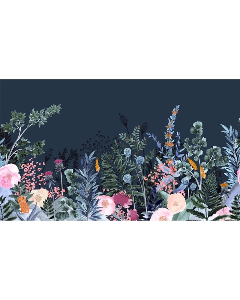 Odette Nuit Odette Nuit
