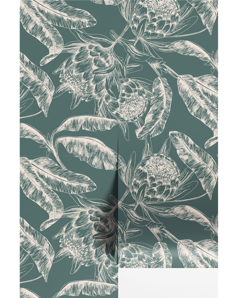 Protea Saphir