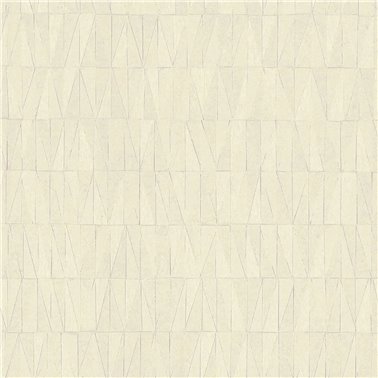 Prisma Shell - 6452211