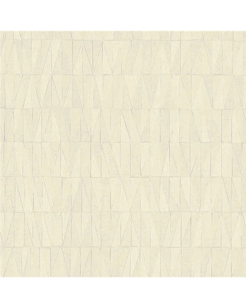 Prisma Shell - 6452211
