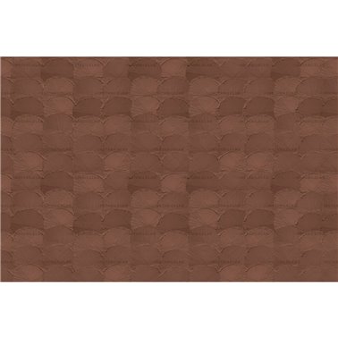 Barnaba 03
