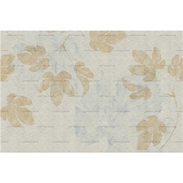 Basilia 02