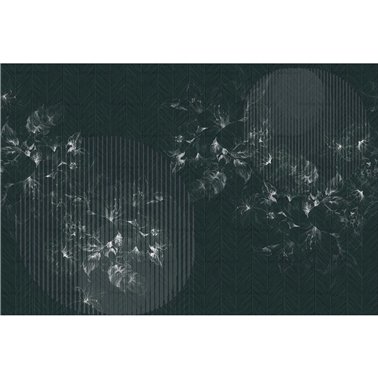Kazuo 01